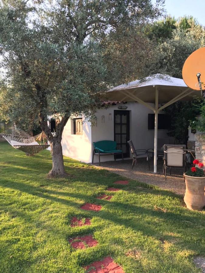 Oasis Aparthotel Skiathos-stad Buitenkant foto