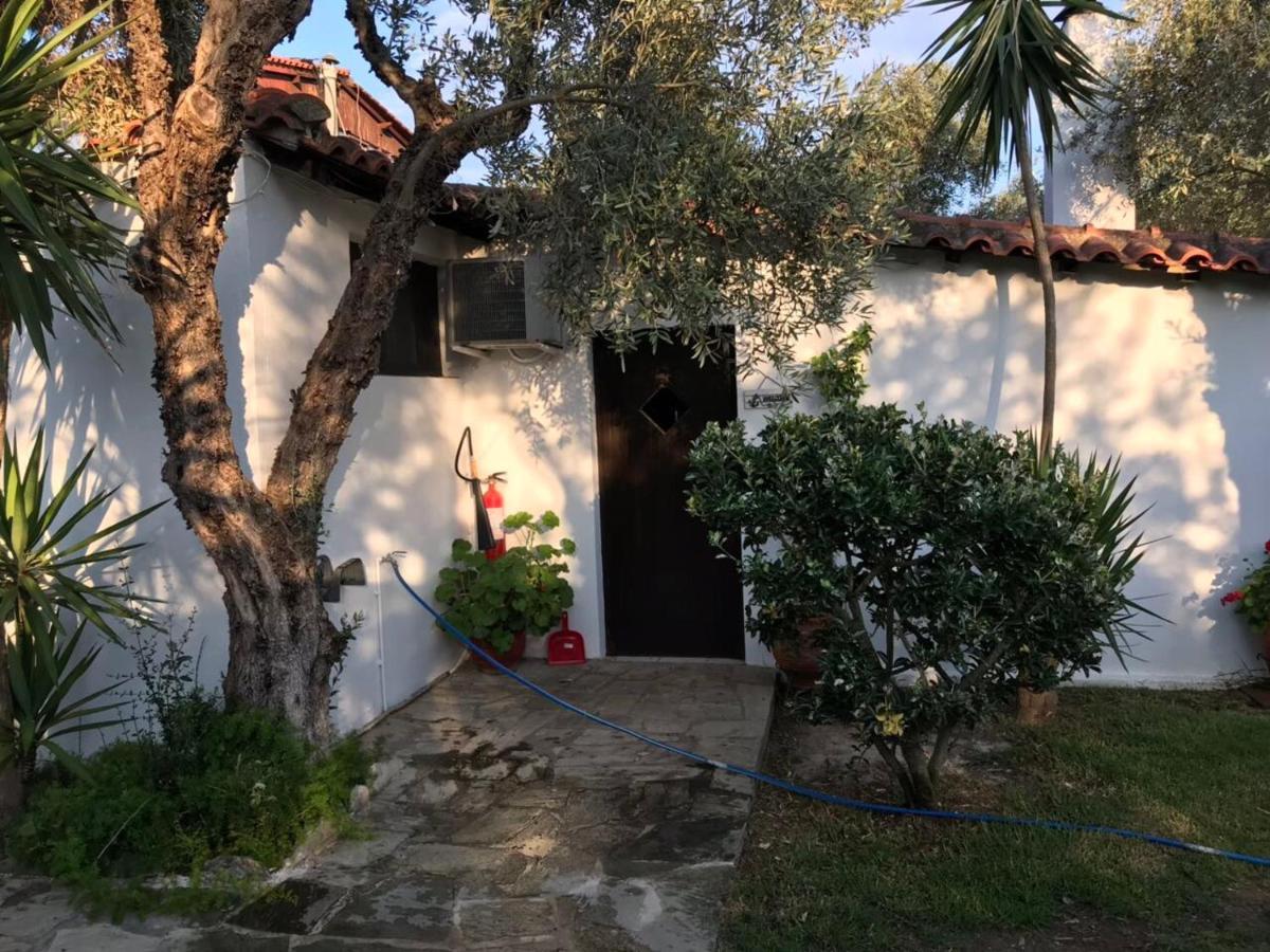 Oasis Aparthotel Skiathos-stad Buitenkant foto